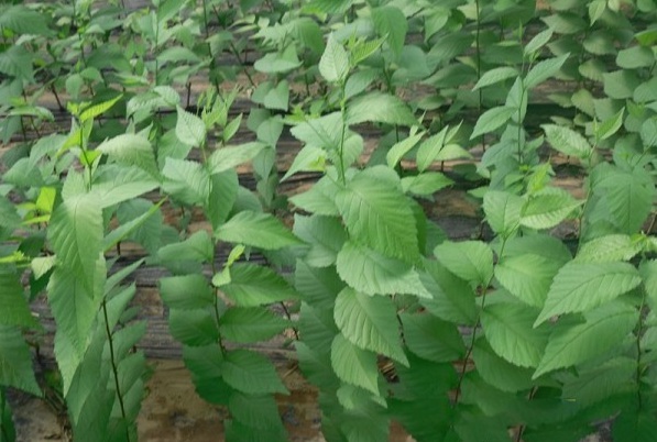 1629269577354301.jpg BRFG1[(%53ELFGSWEQPNN$E.jpg