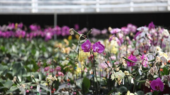 1629271966258067.jpg }V$MF``S%)%_VBEL37QM(48.jpg