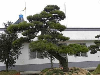 1629273597240484.jpg 1629273597240484.jpg