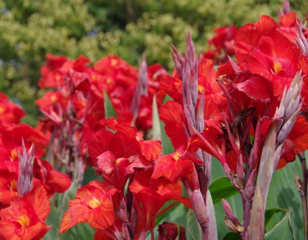 1629275626403353.jpg b135fe06806e56b3a8abae8e8503bd48_t019e2528cc10c90eb4.jpg