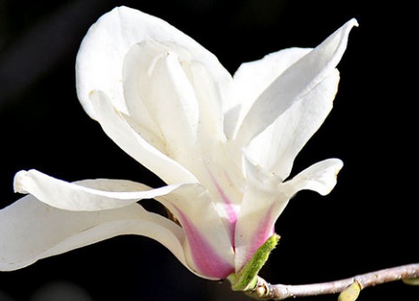 1629330657735638.jpg image.jpg