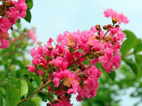 1629334182956188.jpg image.jpg