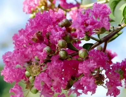 1629334204306606.jpg image.jpg