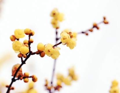 1629334486237930.jpg image.jpg