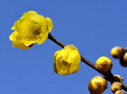 1629334507832691.jpg image.jpg