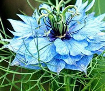 1629334559163899.jpg image.jpg