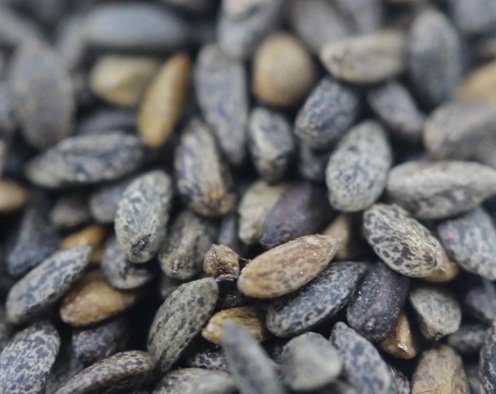 1629334807322825.jpg image.jpg