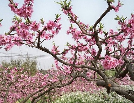 1629336459961487.jpg image.jpg