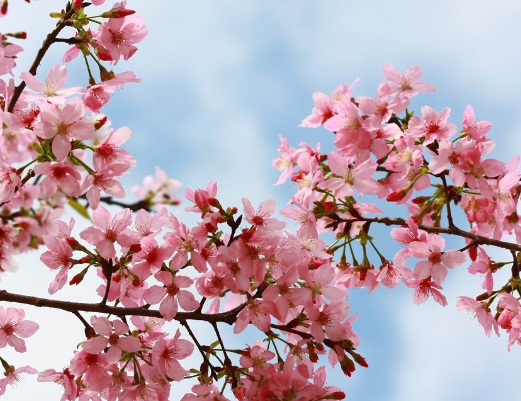 1629336967576547.jpg image.jpg