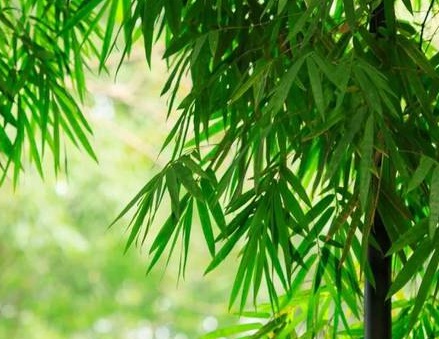 1629369731348610.jpg image.jpg