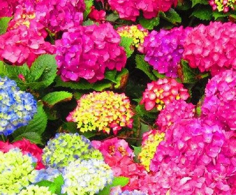 1629371552288129.jpg image.jpg