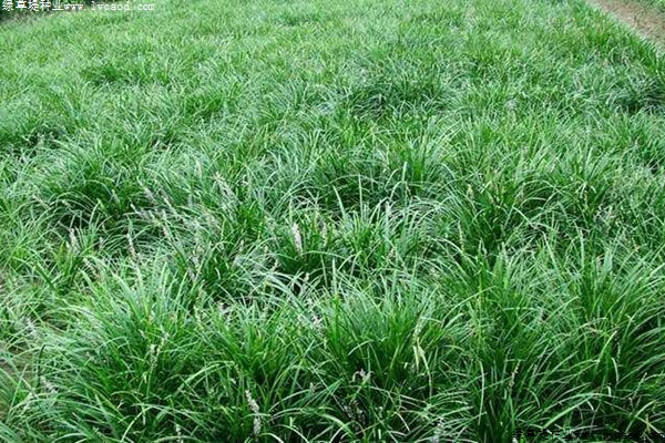 1629441655356360.jpg 4070ee2926b262da521e4147395634f2_1560186371489932.jpg