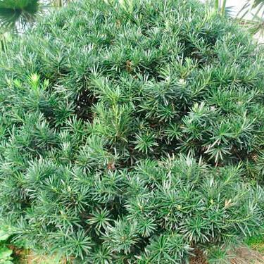 1629457363624743.jpg 1629457363624743.jpg