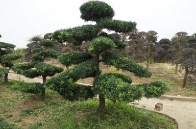 1629457386566651.jpg 1629457386566651.jpg