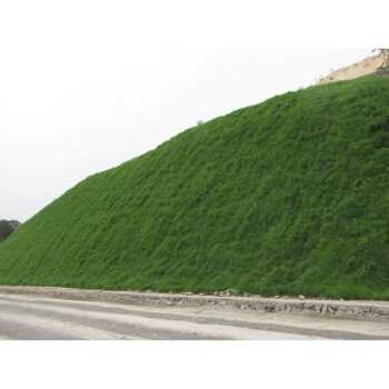 1629458214605635.jpg 1629458214605635.jpg