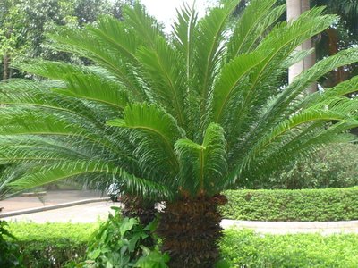 1629458591484027.jpg 1629458591484027.jpg