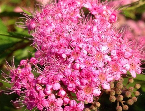 1629462876183755.jpg image.jpg