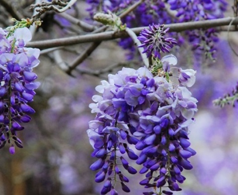 1629469618282667.jpg image.jpg