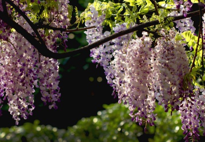 1629470762643549.jpg image.jpg