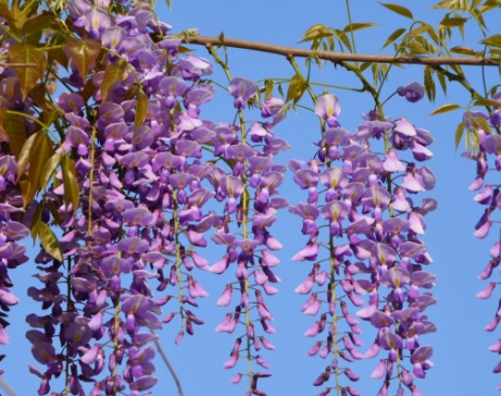 1629470780185080.jpg image.jpg