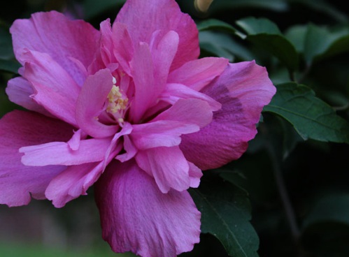 1629471098892233.jpg image.jpg