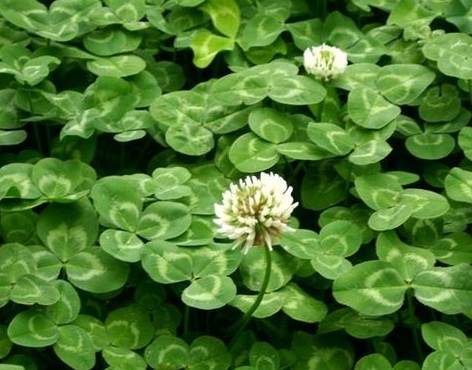 1629471626141410.jpg image.jpg