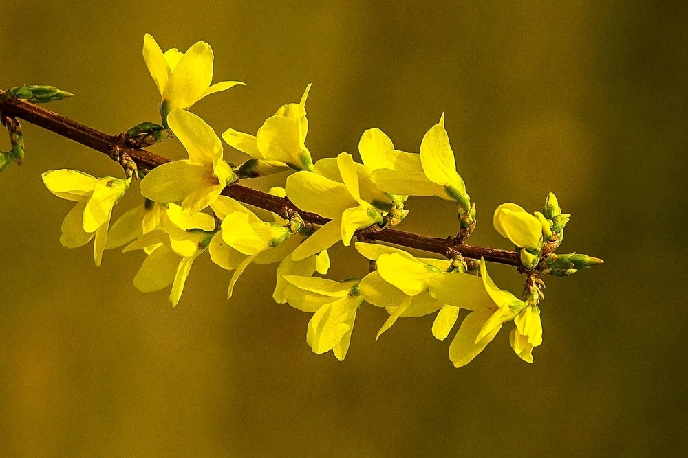 1629544648592012.jpg 1629544648592012.jpg