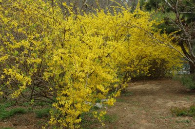 1629544688310670.jpg 1629544688310670.jpg