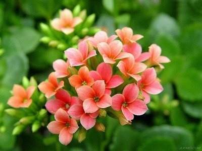 1629547781170204.jpg 1629547781170204.jpg