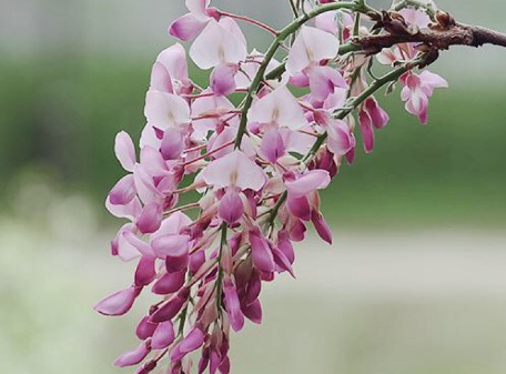 1629550832170639.jpg image.jpg