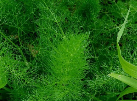 1629551540237865.jpg image.jpg