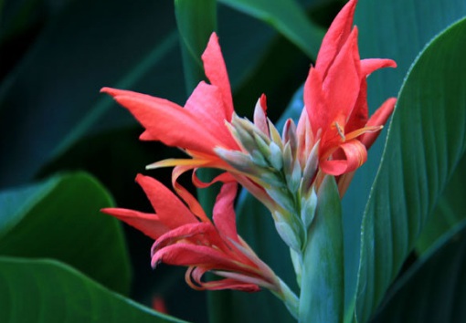 1629551797873146.jpg image.jpg