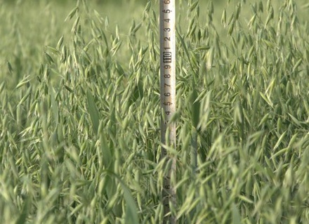 1629551855736657.jpg image.jpg