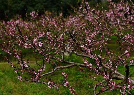 1629552613215814.jpg image.jpg