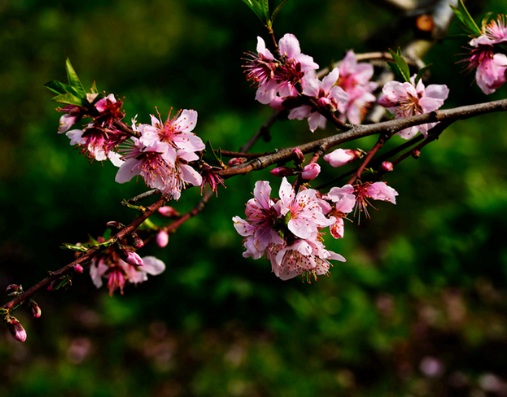 1629552630885825.jpg image.jpg