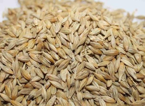 1629552779622096.jpg image.jpg