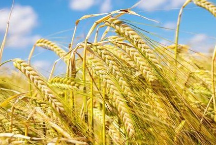 1629552788795321.jpg image.jpg