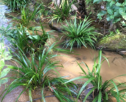 1629553051139733.jpg image.jpg