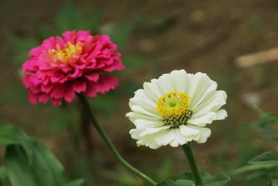 1629553773949565.jpg 1629553773949565.jpg