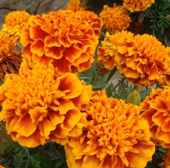 1629611518786800.jpg @D7U)QOR@EQOY4~)KH2TG[Q.jpg