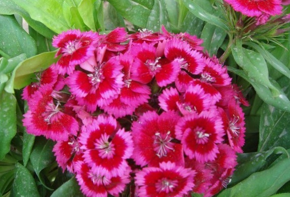 1629614803683624.jpg WTOWY1DSL(3MW08D93Y1I0X.jpg