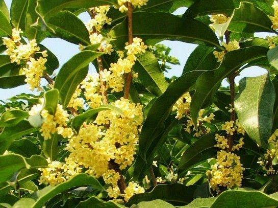 1629627705406857.jpg 1629627705406857.jpg