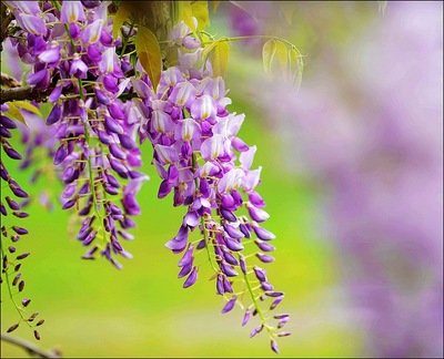 1629633169150410.jpg 1629633169150410.jpg