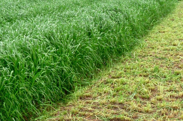 1629645482736449.jpg 狗牙3333333333333333333.jpg