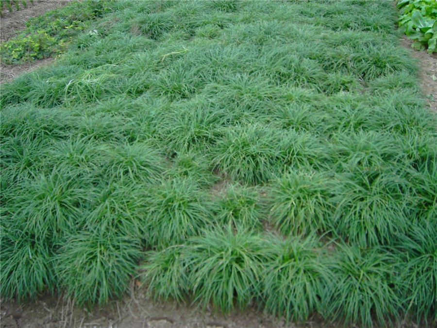 1629686346378591.jpg 1629686346378591.jpg