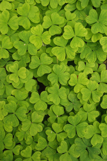 1629686844783532.jpg 1629686844783532.jpg