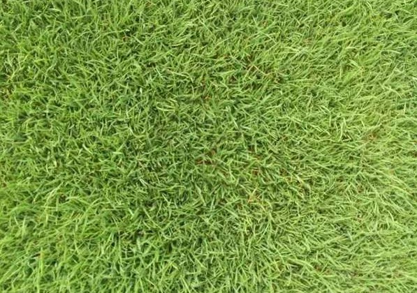 1629686925492547.jpg J5[)PMUTATC$Y%59NQP6%~L.jpg