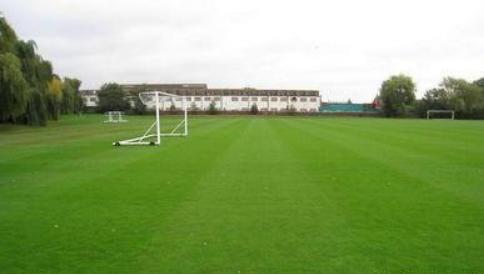 高羊茅草坪種子的建植方法與養護管理技術