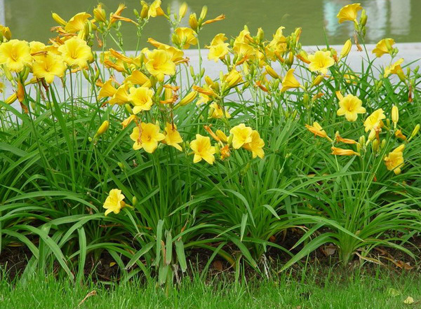 1629687150751853.jpg 1629687150751853.jpg