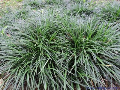 1629688942458486.jpg 1629688942458486.jpg